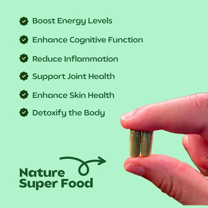 Moringa Capsules Boost Energy, Immunity & Libido Naturally